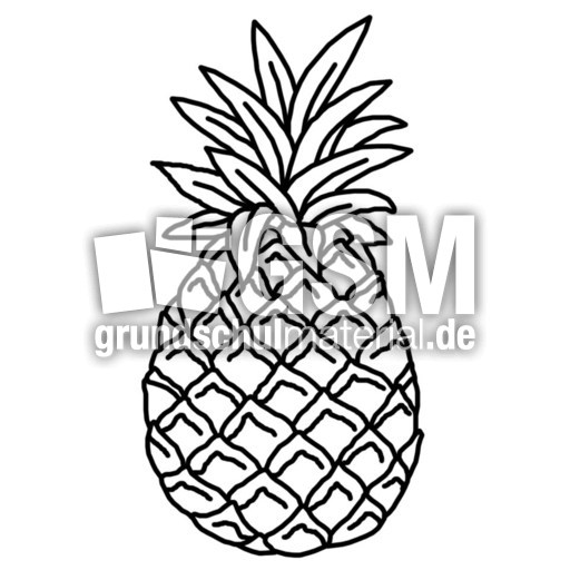 ananas.jpg